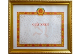 Khung bằng khen giấy khen 518 Vàng